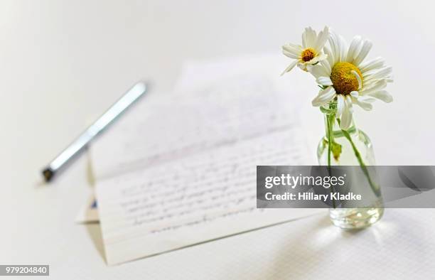 flowers in a vase with a letter - paperweight stock pictures, royalty-free photos & images