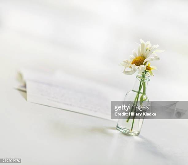 flowers in a vase with a letter - paperweight stock pictures, royalty-free photos & images