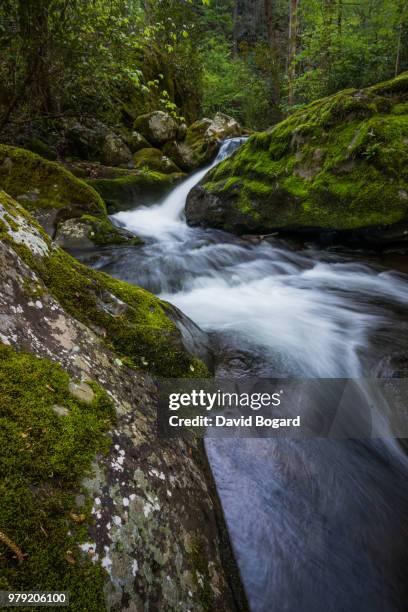 sweeping flow - sweeping landscape stock pictures, royalty-free photos & images