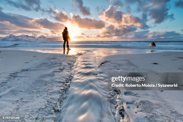 man on sand beach looks to the cold crystal sea at sunset, vikten, flakstad municipality, lofoten islands, norway - archipelago stockfoto's en -beelden