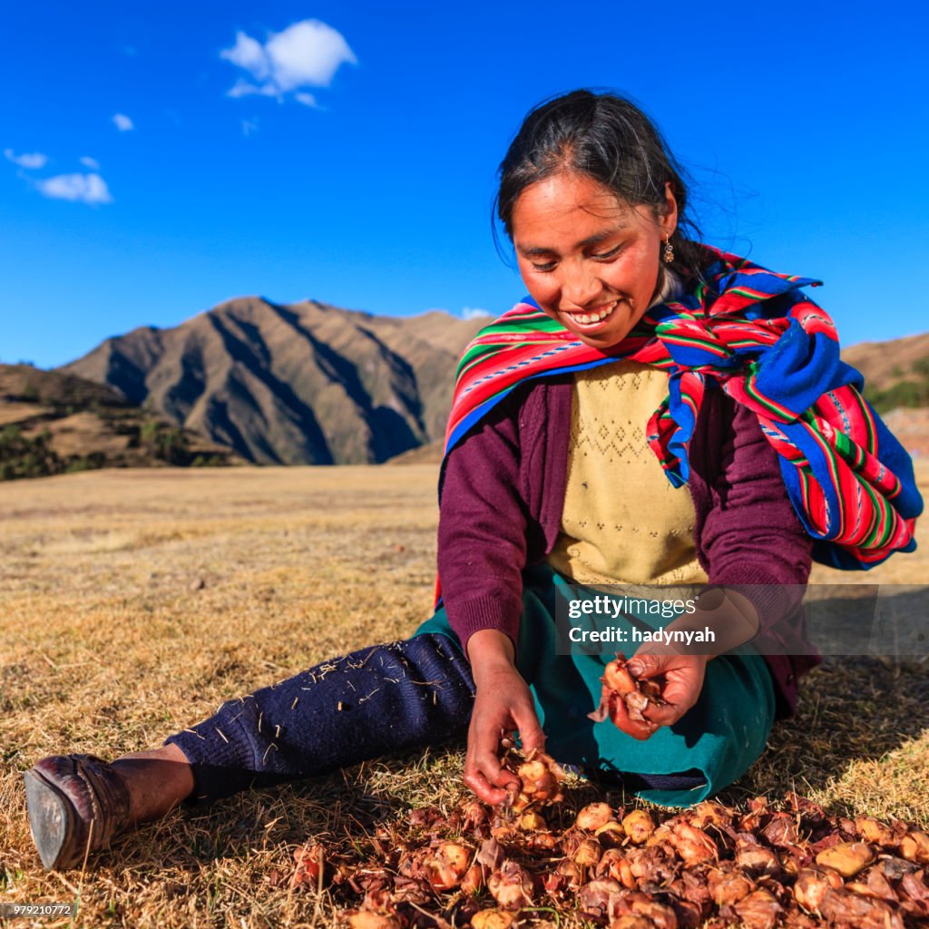 Peruvian woman preparing chuno - frozen potato, near Cuzco,Peru