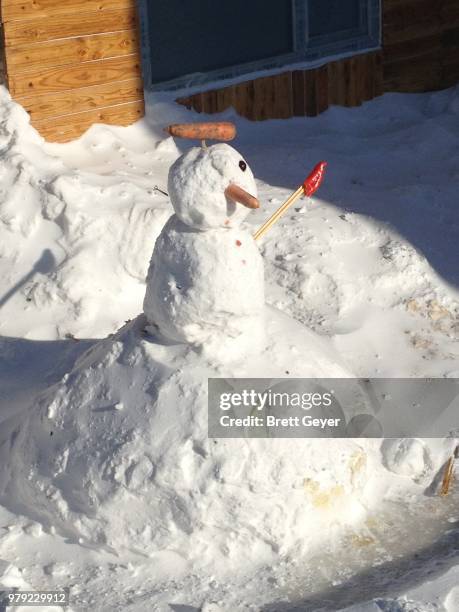 photo by: brett geyer - snowman car stock pictures, royalty-free photos & images