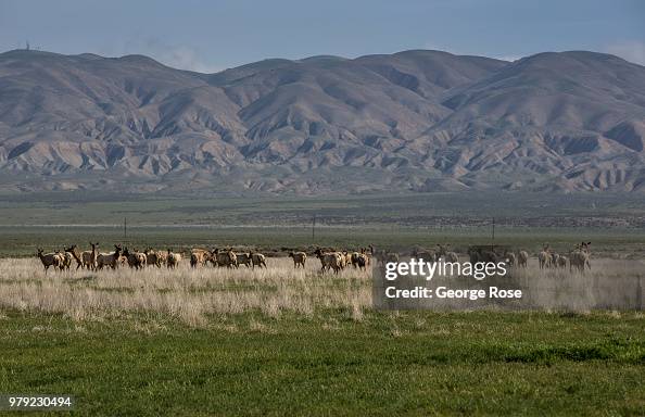 Exploring Carrizo Plain National Monument Exploring Carrizo Plain National Monument
