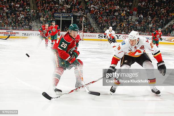 Robyn Regehr of the Calgary Flames knocks the puck away from Antti Miettinen of the Minnesota Wild during the game at the Xcel Energy Center on March...