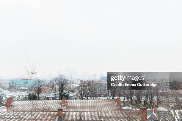 Pechter's Rye Peckham Rye Photos and Premium High Res Pictures - Getty Images