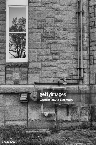 tree like - cyrillic script stock pictures, royalty-free photos & images