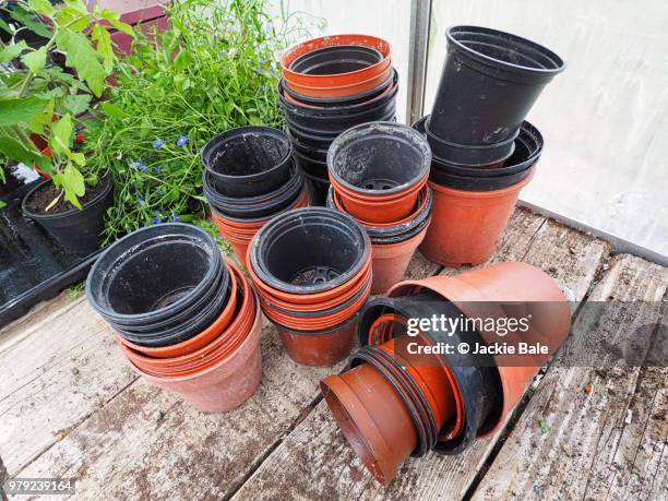 flower pots on a greenhouse shelf - plastic flower pot stock pictures, royalty-free photos & images