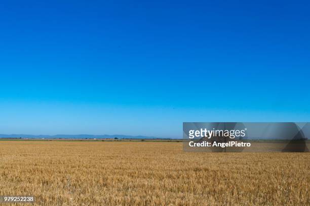 tipycal construction agrarian - miguelangelortega stock pictures, royalty-free photos & images