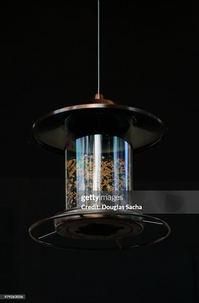 Close-up of a hanging Bird feeder with various edible seed