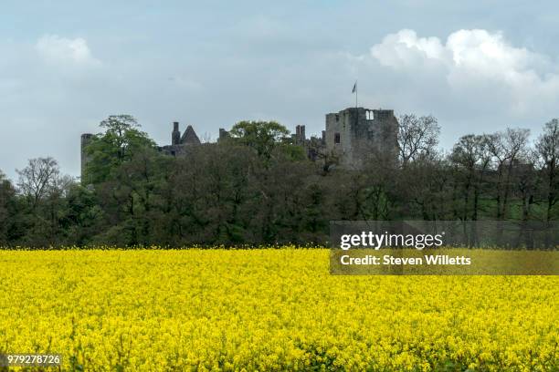 raglan castle - raglan castle stock pictures, royalty-free photos & images