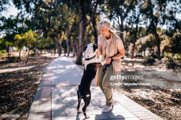 gelukkig volwassen vrouw plezier met huisdier hond in park - happy lady walking dog stockfoto's en -beelden