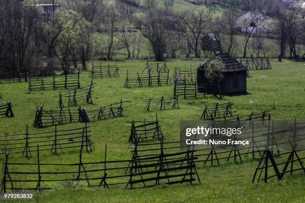 maramures - frança stock pictures, royalty-free photos & images