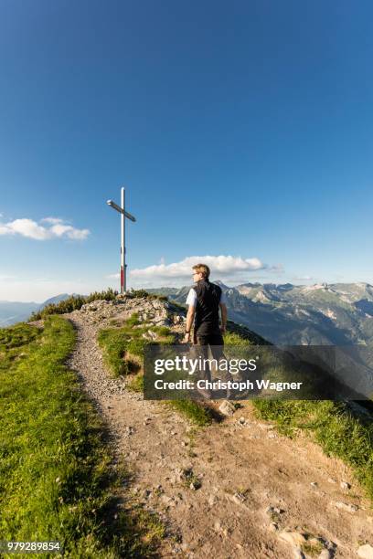 österreich tirol - achensee - österreich ストックフォトと画像