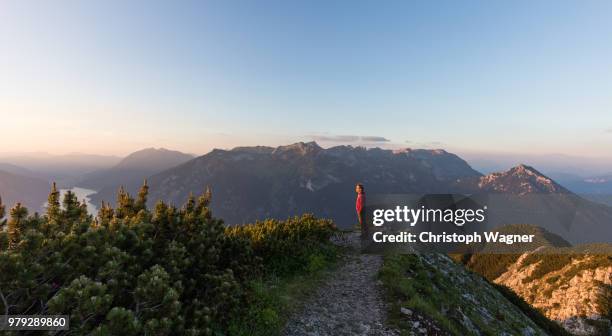 österreich tirol - achensee - österreich ストックフォトと画像