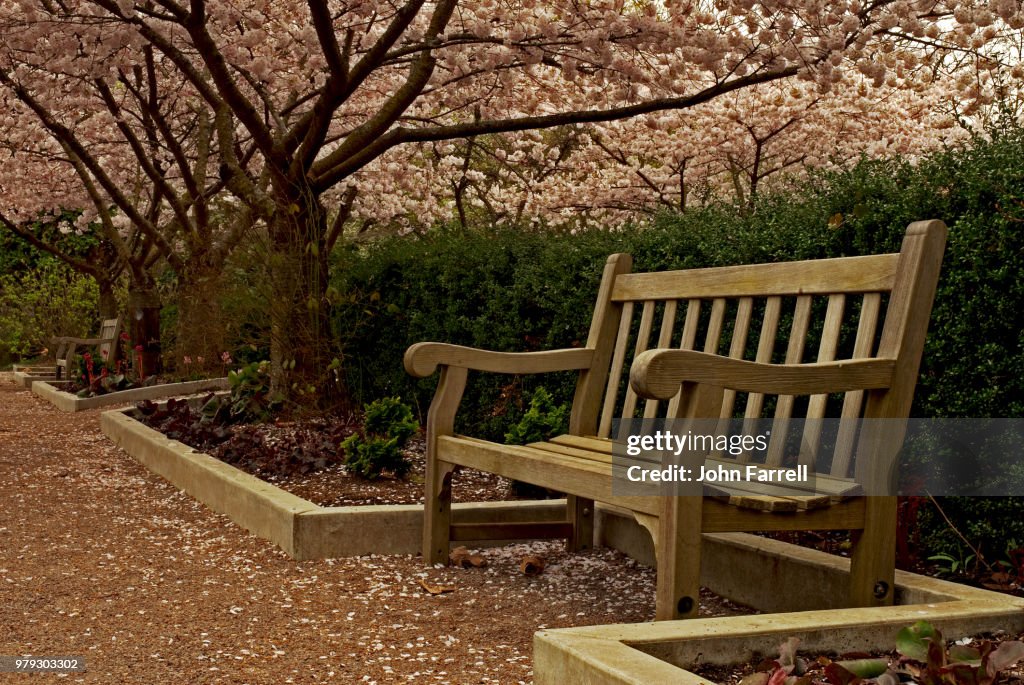 Repose Awaits
