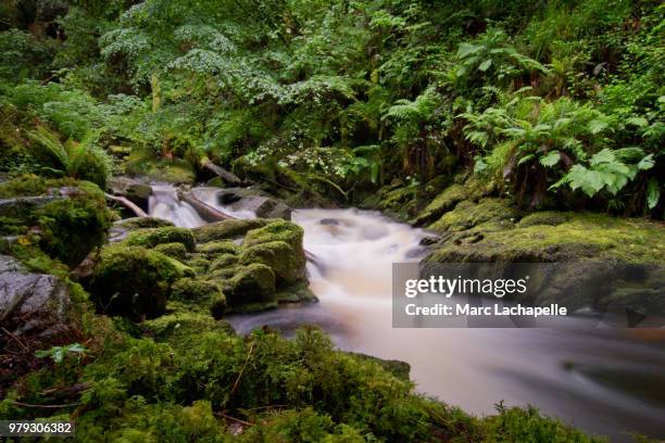 torc river - torc waterfall stock pictures, royalty-free photos & images