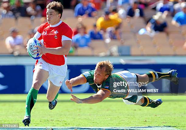 Lee Rees 1,104 William Dove Stock Photos, High-Res Pictures, and Images - Getty ...