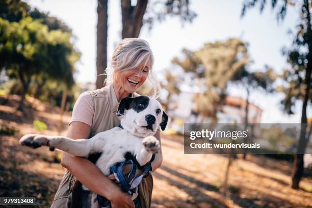 mature woman having fun playing with pet dog in park - mature adult walking dog stock pictures, royalty-free photos & images