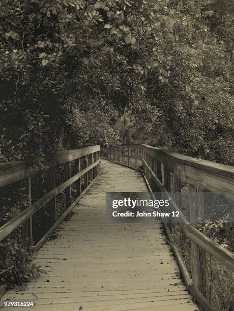 manasota scrub - john shaw stockfoto's en -beelden