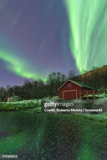 northern lights on typical wood hut called rorbu facing the frozen sea, tovik, skanland municipality, troms county, lofoten islands, norway - rorbu stock pictures, royalty-free photos & images