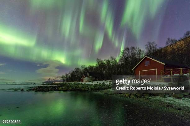 northern lights on typical wood hut called rorbu facing the frozen sea, tovik, skanland municipality, troms county, lofoten islands, norway - rorbu stock pictures, royalty-free photos & images