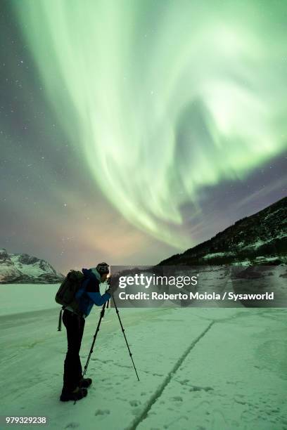 photographer with tripod on frozen sea looks to the northern lights, olderfjorden, svolvaer, lofoten islands, norway - austvagoy stock pictures, royalty-free photos & images