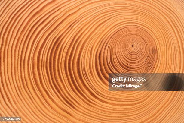 tree ring - log texture stock-fotos und bilder