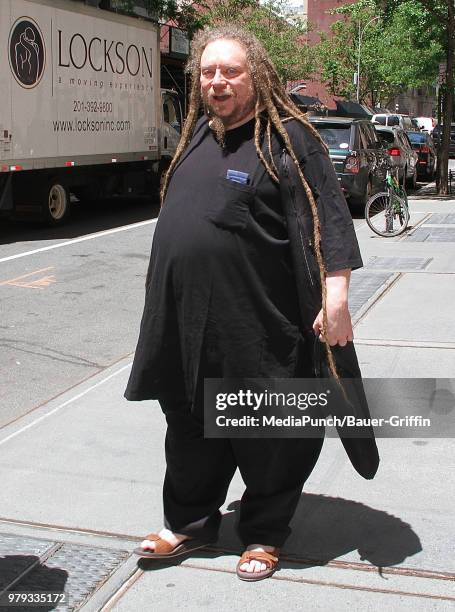 Jaron Lanier is seen on June 19, 2018 in New York City.