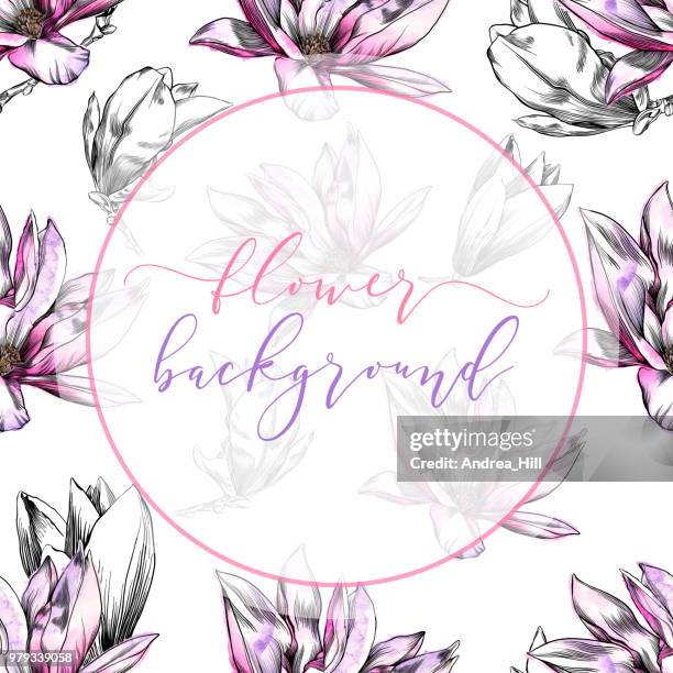 ilustraciones, imágenes clip art, dibujos animados e iconos de stock de plantilla de diseño de flor de magnolia en patrones sin fisuras en acuarela y tinta - magnolia soulangeana