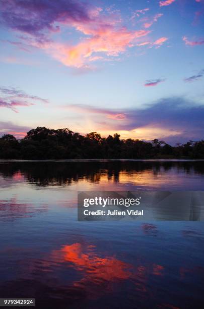 reflets du fleuve - fleuve stockfoto's en -beelden