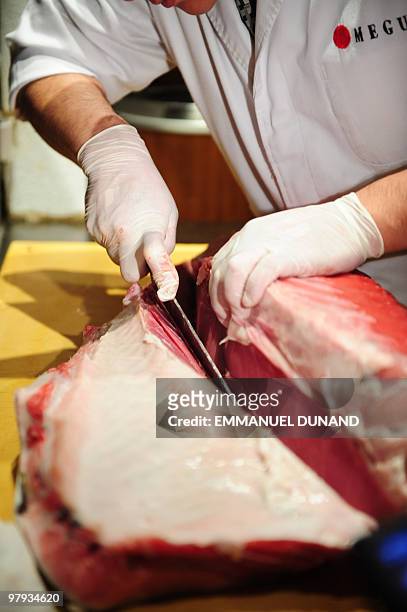 Sushi chef William Tawng prepares sushi and sashimi from a bluefin tuna at the upscale New York Japanese restaurant Megu in New York, March 10, 2010....