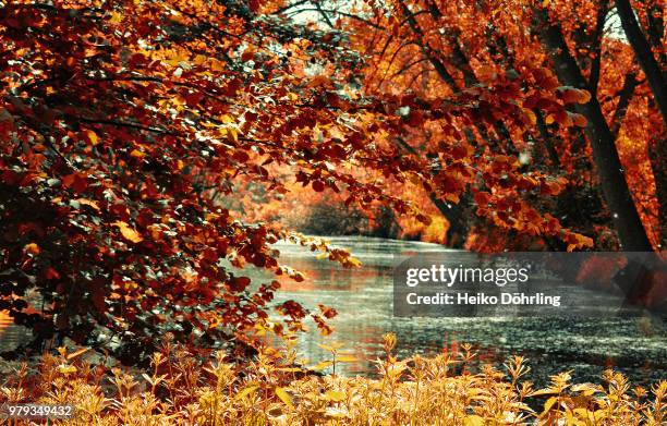 mutter natur - natuur stock pictures, royalty-free photos & images