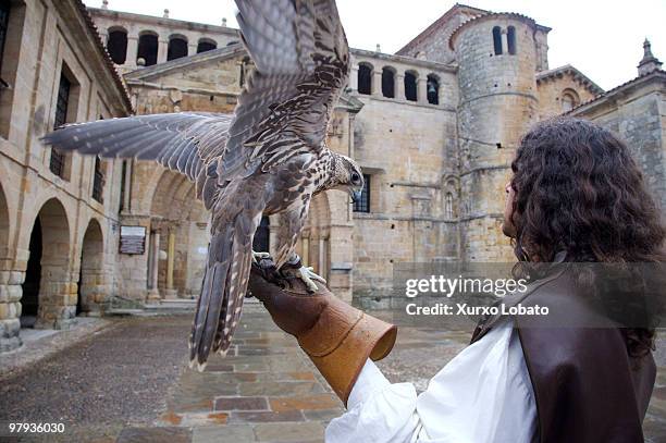 Man with a bird for hawking in medieval fair of the Collegiate church of Santillana , Way of saint James, Cantabria region, 22th Juny 2008