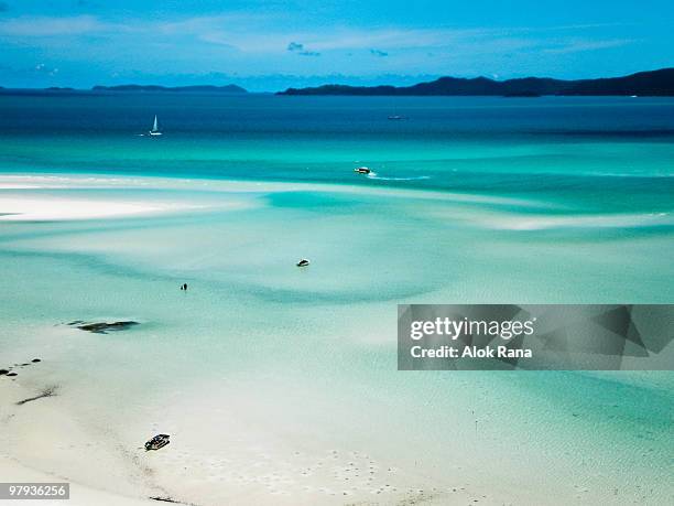 whitehaven beach - whitehaven beach stock pictures, royalty-free photos & images