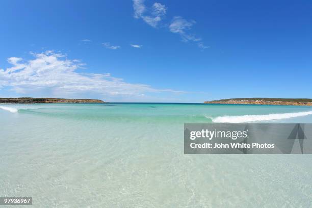 crystal clear sea water at remote beach - port lincoln stock-fotos und bilder