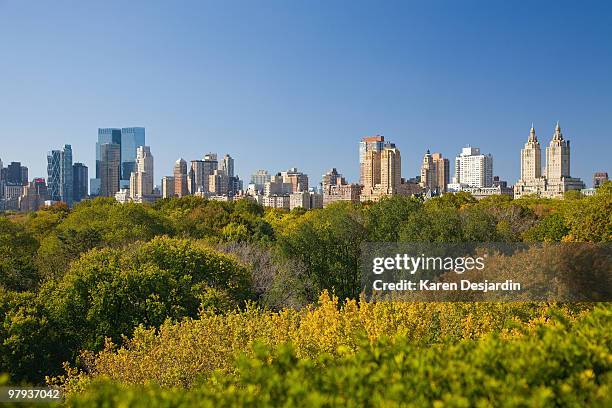 elevated view, central park and skyline, new york - central park view stockfoto's en -beelden