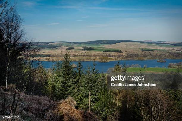 view of hilly landscape, bennan hill, new galloway, scotland - dumfries and galloway 個照片及圖片檔