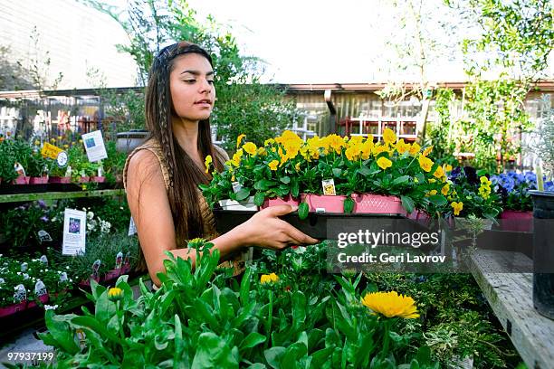 woman shopping at a plant nursery - gärtnerei stock-fotos und bilder