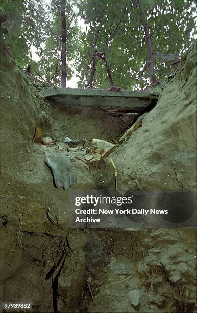 Chilling view from bottom of the earthen pit where kidnap victim Harvey Weinstein used his Marine know-how to endure.