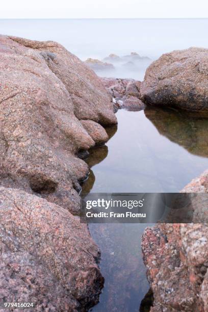 magic hour light - beach magic hour stock pictures, royalty-free photos & images