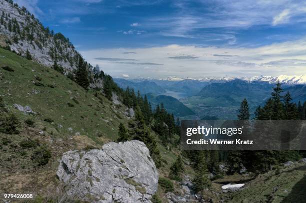 Luzerner 74 Luzerner Stock Photos, High-Res Pictures, and Images - Getty Images