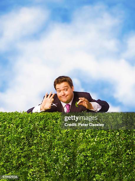 business man trimming hedge with nail scissors - hedge trimming stockfoto's en -beelden