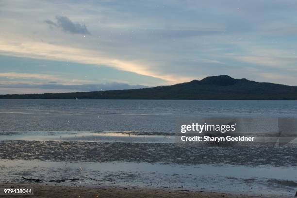 rangitoto - rangitoto stock pictures, royalty-free photos & images