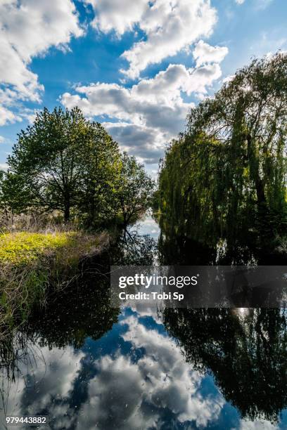 Innerste Innerste River Photos and Premium High Res Pictures - Getty Images