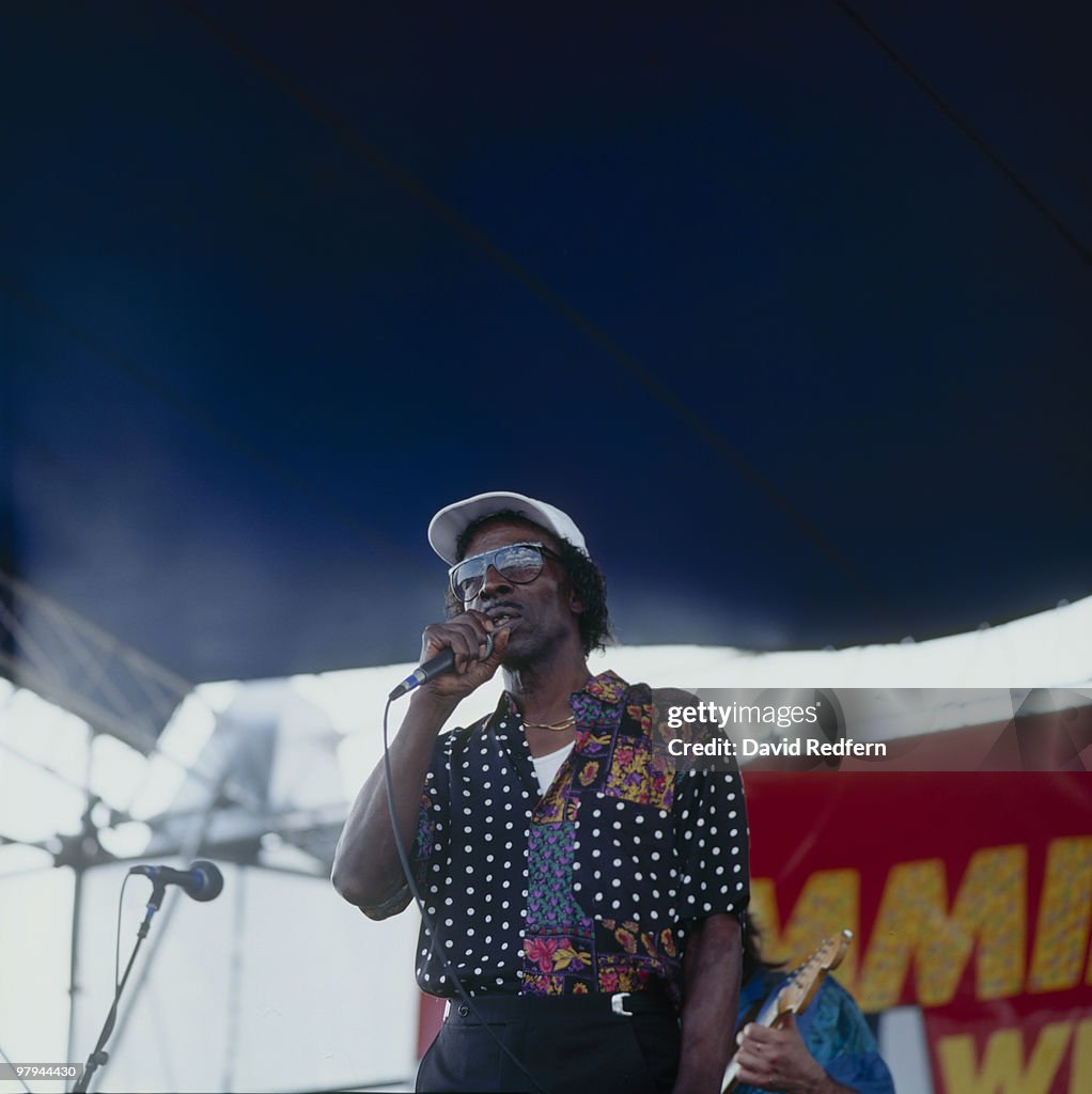 Johnny Daems Johnny Adams performs on stage at the New Orleans Jazz and Heritage ...