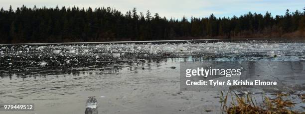 frozen lake - elmore stock pictures, royalty-free photos & images