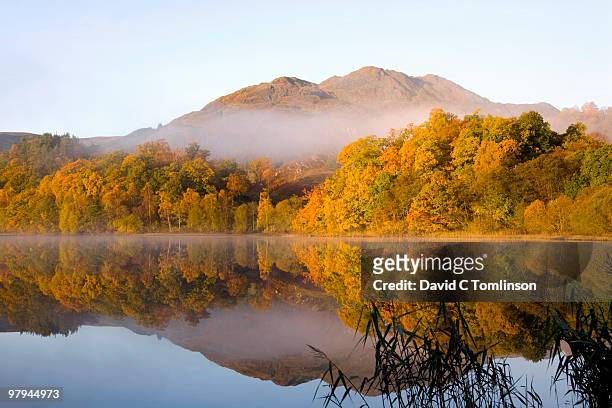 loch achray at dawn, autumn, trossachs, scotland - newpremiumuk stockfoto's en -beelden