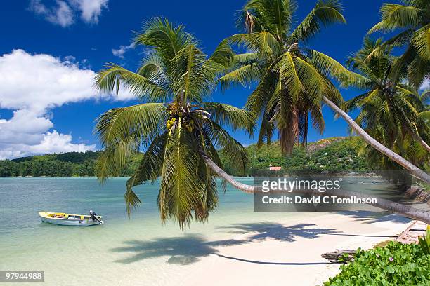 palm-lined bay, baie ste anne, praslin, seychelles - seychelles stockfoto's en -beelden