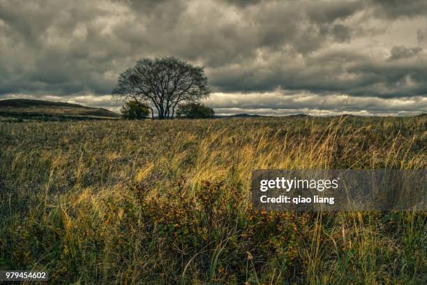 before the storm - qiao stock pictures, royalty-free photos & images