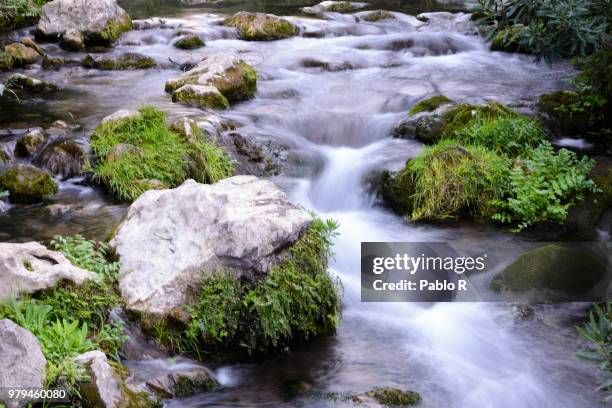 algar waterfalls - algar waterfall spain stock pictures, royalty-free photos & images